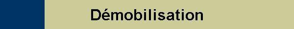 Dmobilisation