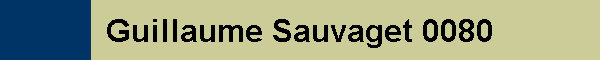 Guillaume Sauvaget 0080