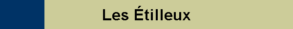 Les tilleux