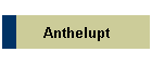 Anthelupt