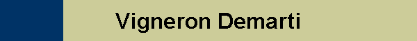 Vigneron Demarti